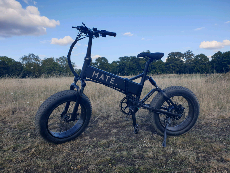 mate x bike 750